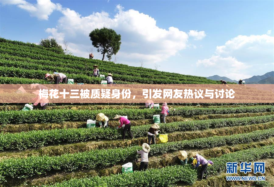 梅花十三被质疑身份，引发网友热议与讨论
