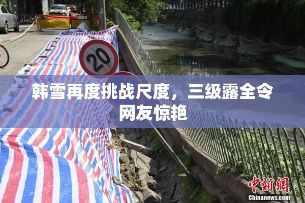 韩雪再度挑战尺度，三级露全令网友惊艳