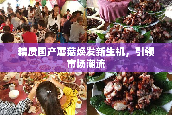 精质国产蘑菇焕发新生机，引领市场潮流