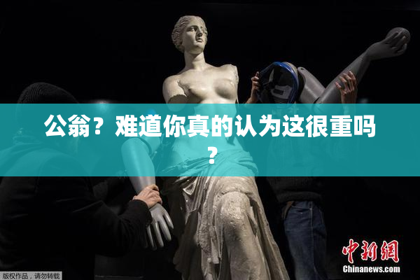 公翁？难道你真的认为这很重吗？
