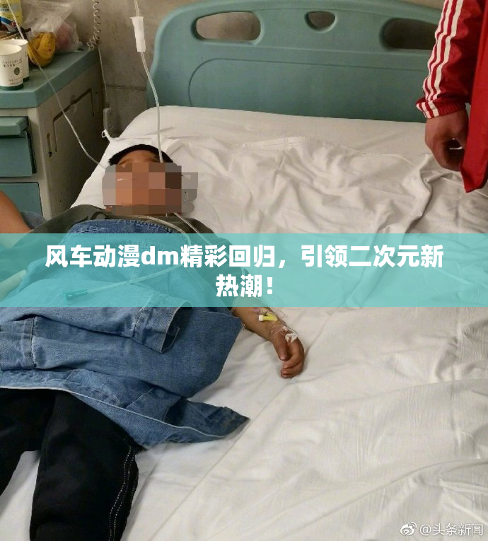 风车动漫dm精彩回归，引领二次元新热潮！