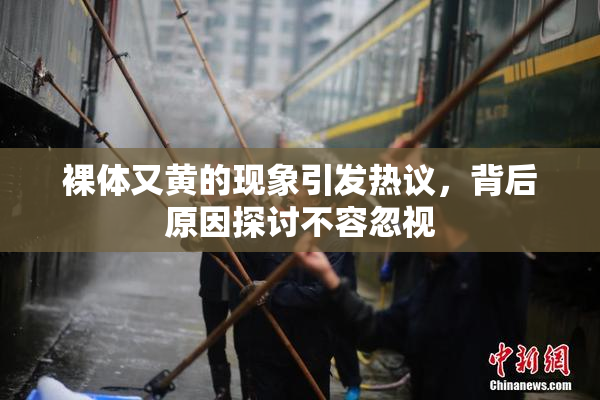 裸体又黄的现象引发热议，背后原因探讨不容忽视