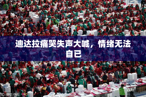 迪达拉痛哭失声大喊，情绪无法自已