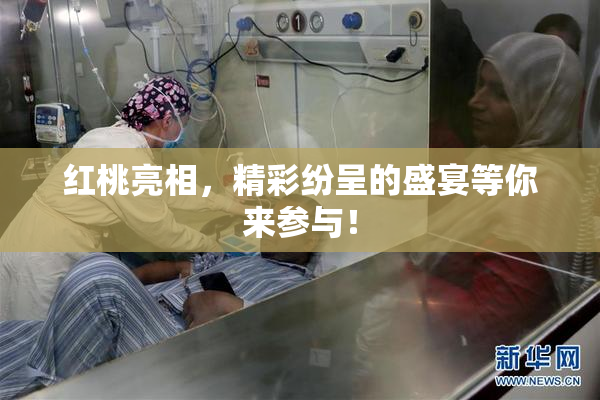 红桃亮相，精彩纷呈的盛宴等你来参与！