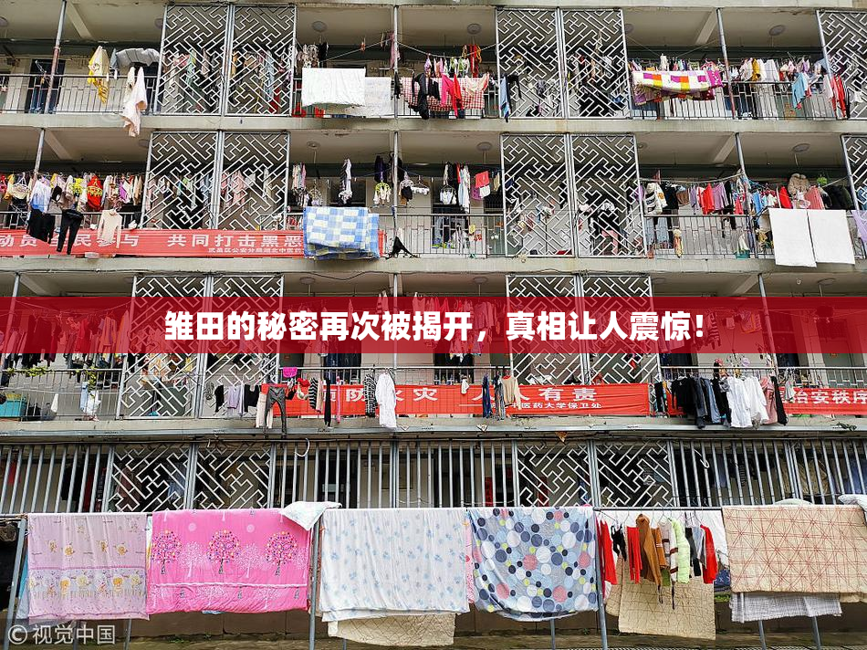 雏田的秘密再次被揭开，真相让人震惊！