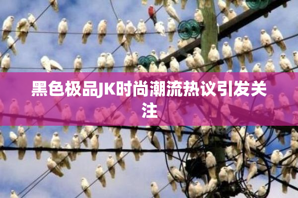 黑色极品JK时尚潮流热议引发关注