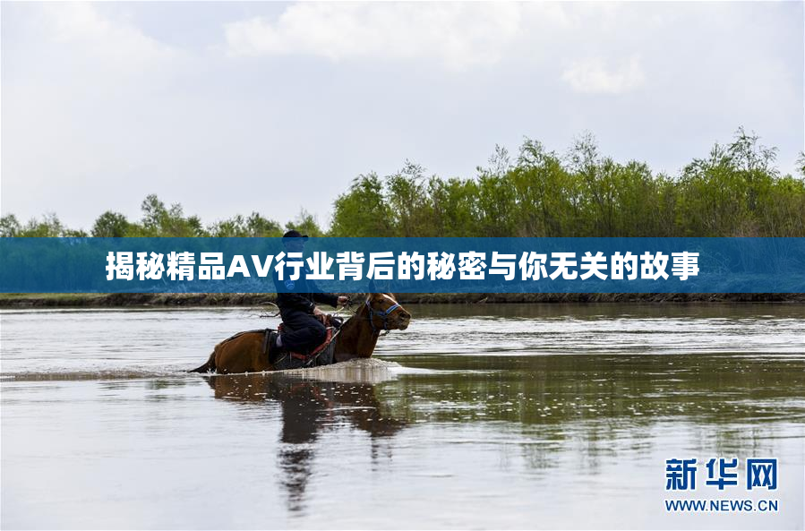 揭秘精品AV行业背后的秘密与你无关的故事
