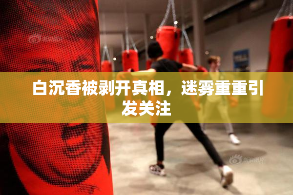 白沉香被剥开真相，迷雾重重引发关注