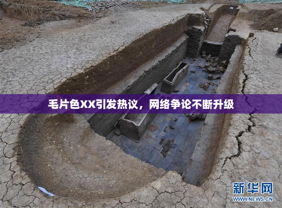 毛片色XX引发热议，网络争论不断升级