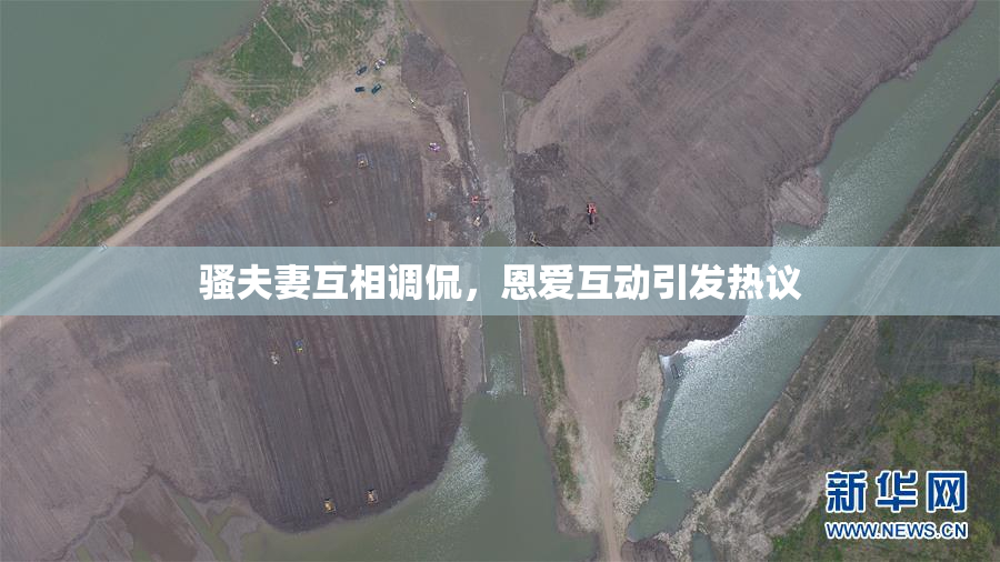 骚夫妻互相调侃，恩爱互动引发热议