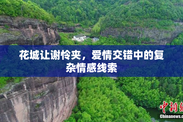 花城让谢怜夹，爱情交错中的复杂情感线索