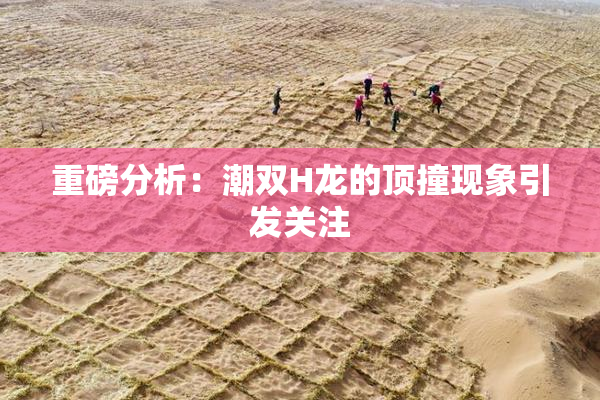重磅分析：潮双H龙的顶撞现象引发关注