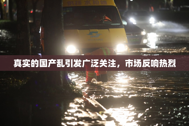 真实的国产乱引发广泛关注，市场反响热烈