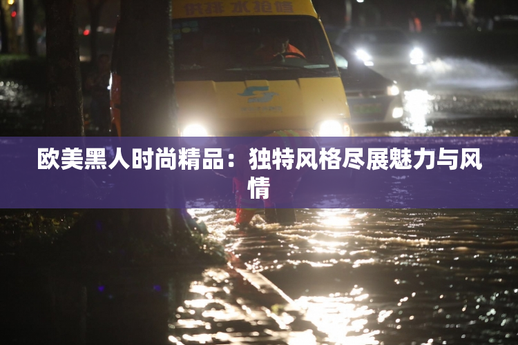 欧美黑人时尚精品：独特风格尽展魅力与风情