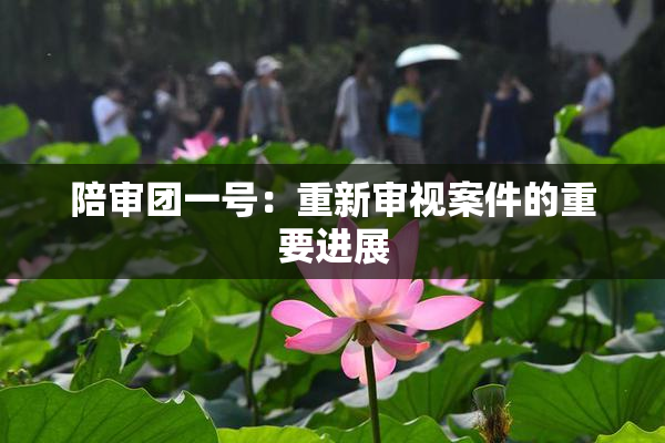 陪审团一号：重新审视案件的重要进展