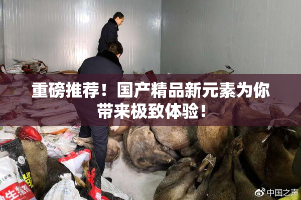 重磅推荐！国产精品新元素为你带来极致体验！