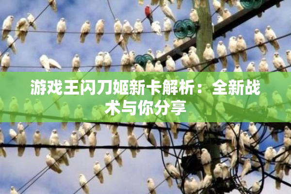 游戏王闪刀姬新卡解析：全新战术与你分享