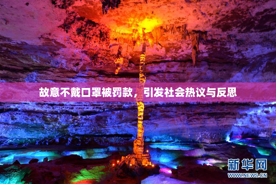 故意不戴口罩被罚款，引发社会热议与反思