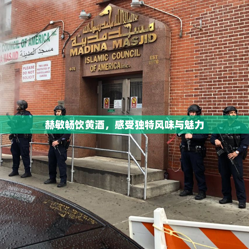 赫敏畅饮黄酒，感受独特风味与魅力