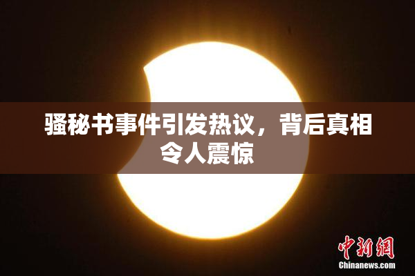 骚秘书事件引发热议，背后真相令人震惊