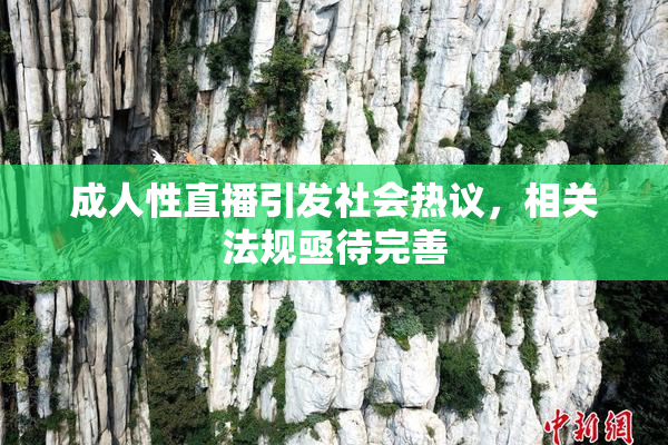 成人性直播引发社会热议，相关法规亟待完善