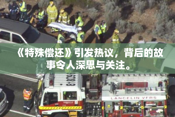 《特殊偿还》引发热议，背后的故事令人深思与关注。