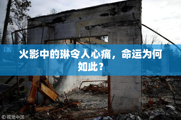 火影中的琳令人心痛，命运为何如此？