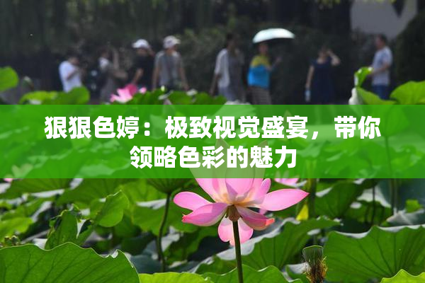 狠狠色婷：极致视觉盛宴，带你领略色彩的魅力