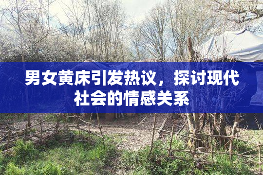 男女黄床引发热议，探讨现代社会的情感关系