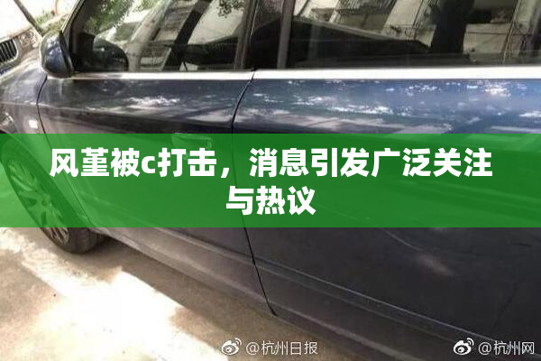 风堇被c打击，消息引发广泛关注与热议