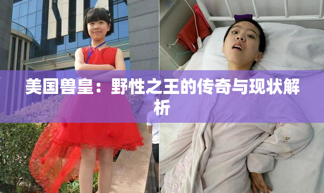 美国兽皇：野性之王的传奇与现状解析