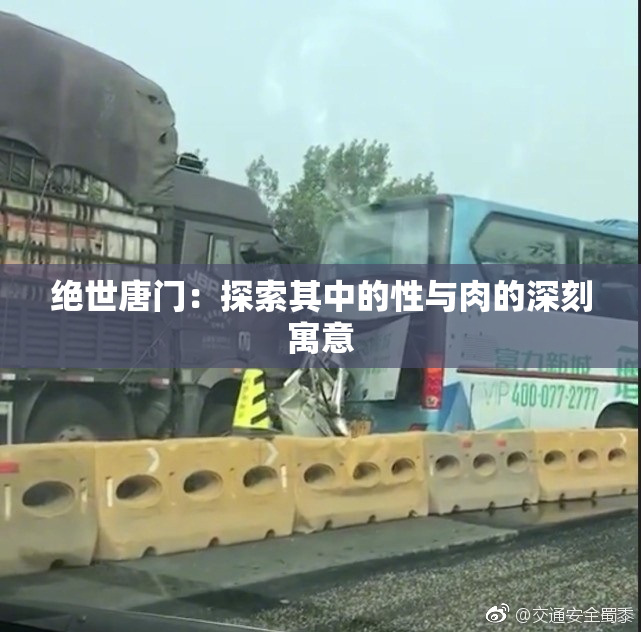 绝世唐门：探索其中的性与肉的深刻寓意