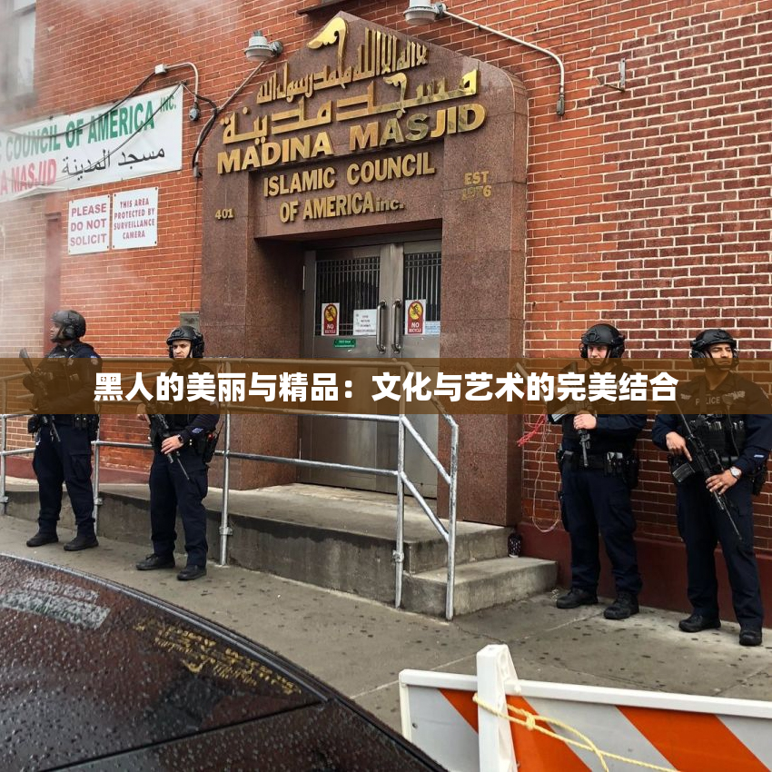 黑人的美丽与精品：文化与艺术的完美结合