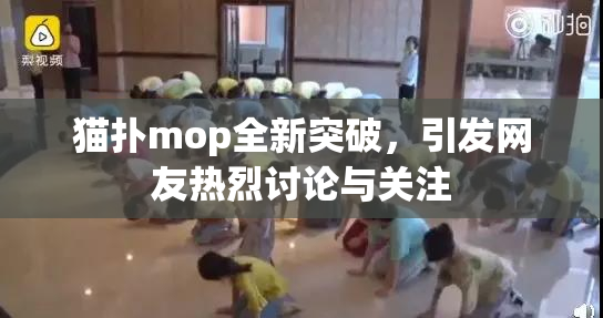 猫扑mop全新突破，引发网友热烈讨论与关注