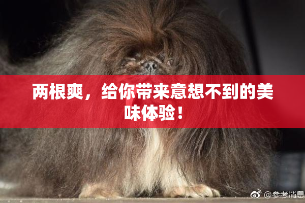 两根爽，给你带来意想不到的美味体验！