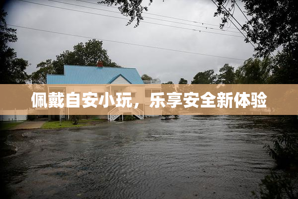 佩戴自安小玩，乐享安全新体验
