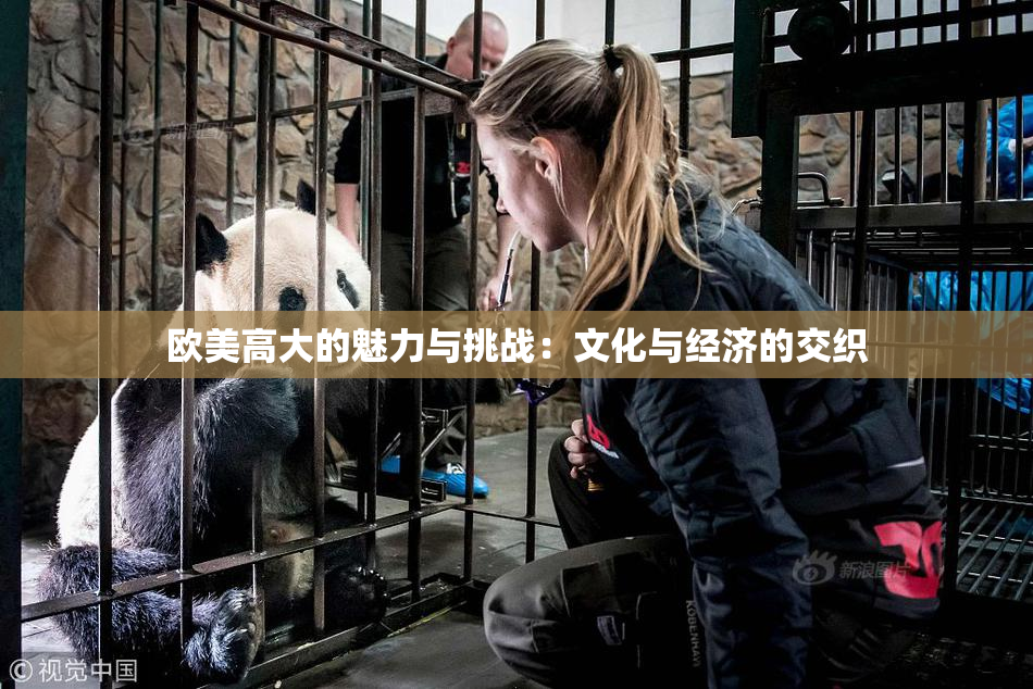 欧美高大的魅力与挑战：文化与经济的交织