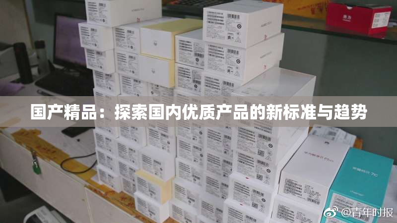 国产精品：探索国内优质产品的新标准与趋势