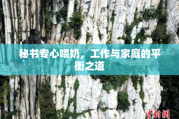 秘书专心喂奶，工作与家庭的平衡之道