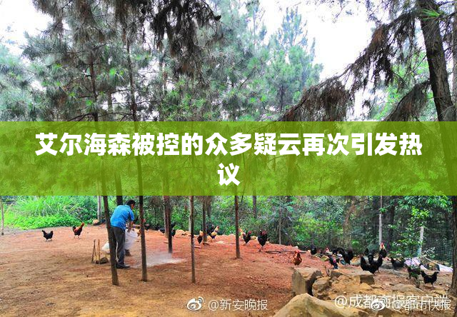 艾尔海森被控的众多疑云再次引发热议