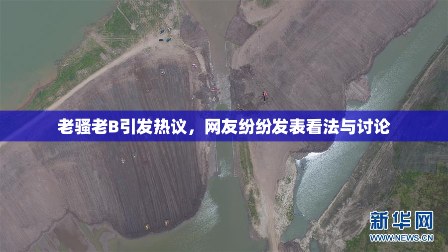 老骚老B引发热议，网友纷纷发表看法与讨论