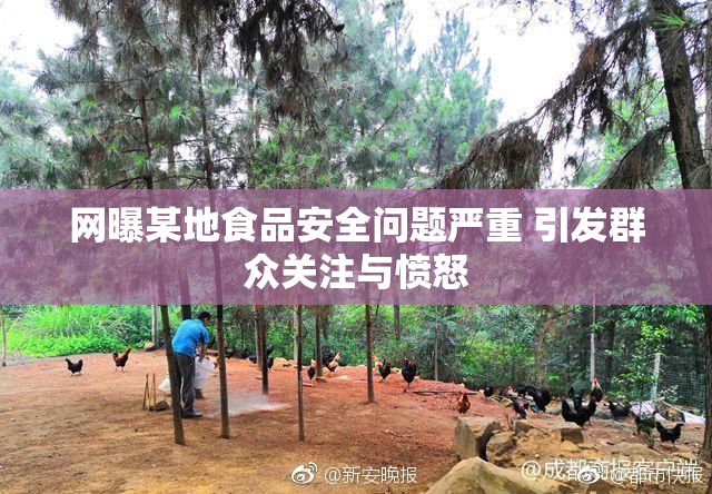 网曝某地食品安全问题严重 引发群众关注与愤怒