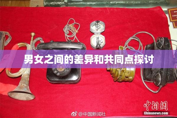 男女之间的差异和共同点探讨