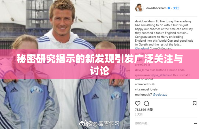 秘密研究揭示的新发现引发广泛关注与讨论