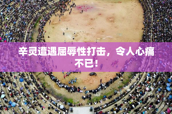 辛灵遭遇屈辱性打击，令人心痛不已！