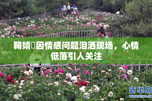 鞠婧祎因情感问题泪洒现场，心情低落引人关注