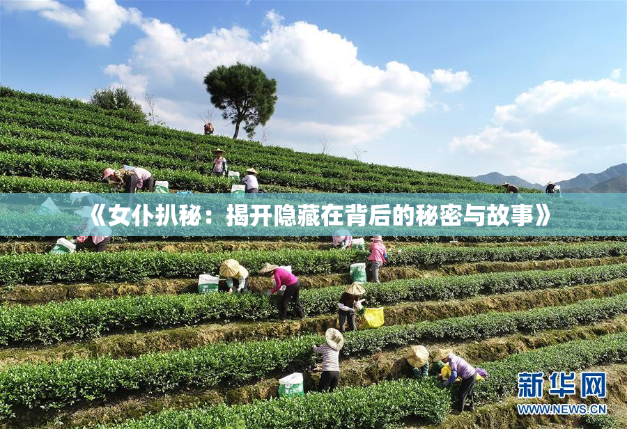 《女仆扒秘：揭开隐藏在背后的秘密与故事》