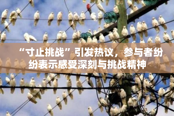 “寸止挑战”引发热议，参与者纷纷表示感受深刻与挑战精神