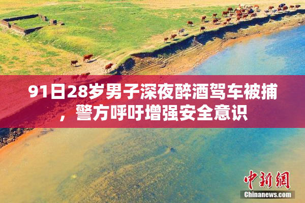 91日28岁男子深夜醉酒驾车被捕，警方呼吁增强安全意识