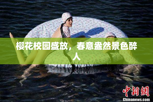 樱花校园盛放，春意盎然景色醉人
